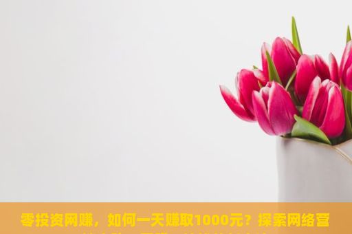 零投资网赚，如何一天赚取1000元？探索网络营销之路，网赚、搞钱的新方法