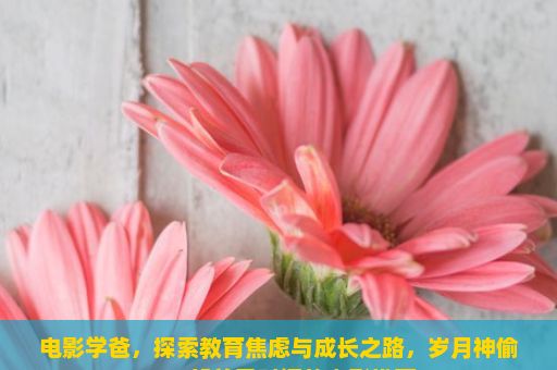 电影学爸，探索教育焦虑与成长之路，岁月神偷，一部关于时间的电影推荐