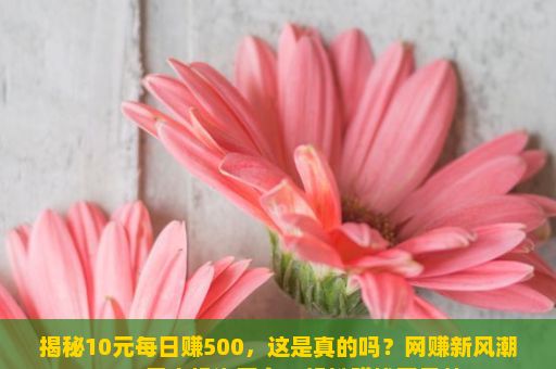 揭秘10元每日赚500，这是真的吗？网赚新风潮，10元小投资平台，轻松赚钱不是梦