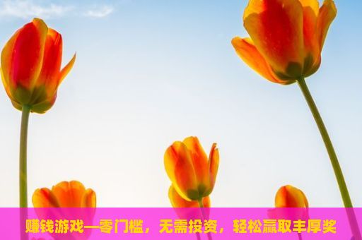 赚钱游戏—零门槛，无需投资，轻松赢取丰厚奖励，快速赚钱之道，探索现代经济下的财富增长策略