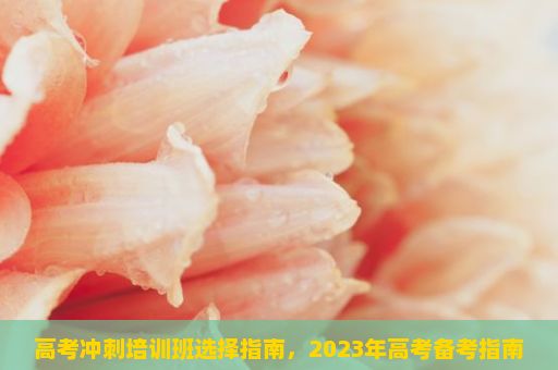 高考冲刺培训班选择指南，2023年高考备考指南—线上辅导机构的选择