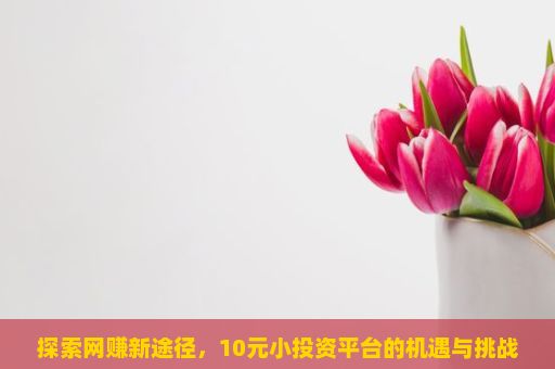 探索网赚新途径，10元小投资平台的机遇与挑战，网络赚钱—日收入投资app