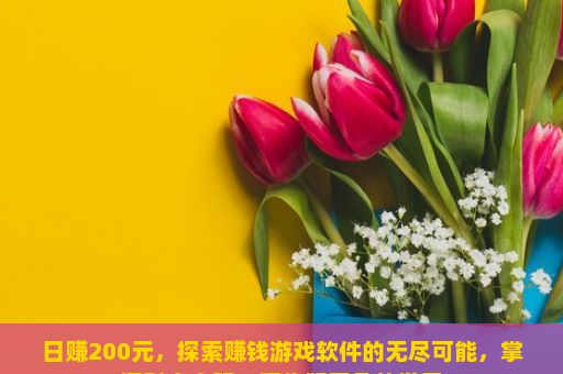 日赚200元，探索赚钱游戏软件的无尽可能，掌握财富密码—现代版平凡的世界