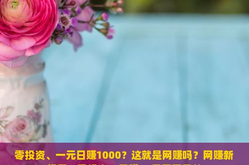 零投资、一元日赚1000？这就是网赚吗？网赚新纪元，零投资，日赚80元不再是梦