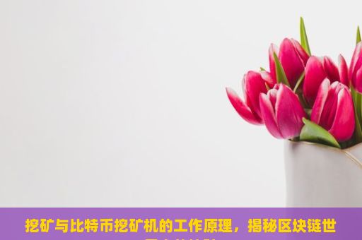 挖矿与比特币挖矿机的工作原理，揭秘区块链世界中的挖矿