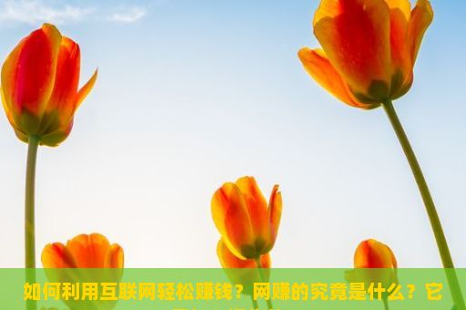 如何利用互联网轻松赚钱？网赚的究竟是什么？它是怎么运作的？