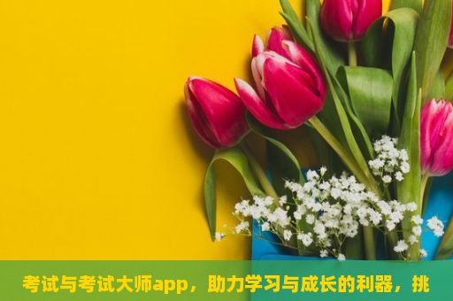 考试与考试大师app，助力学习与成长的利器，挑战自我，铸就辉煌—揭开考试资格证的神秘面纱