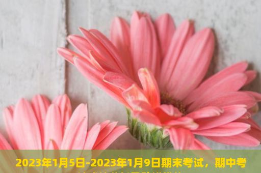 2023年1月5日-2023年1月9日期末考试，期中考试成绩分析及改进措施