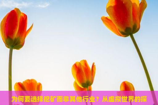 为何要选择挖矿而非其他行业？从虚拟世界的探索到现实挑战的探索