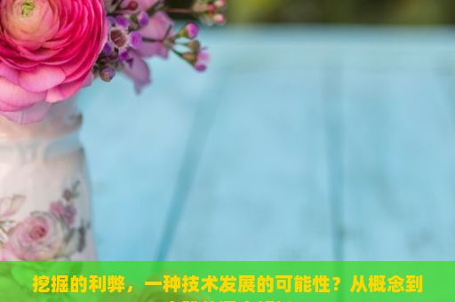 挖掘的利弊，一种技术发展的可能性？从概念到实践的深度解析