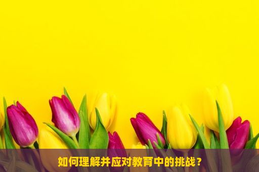 如何理解并应对教育中的挑战？