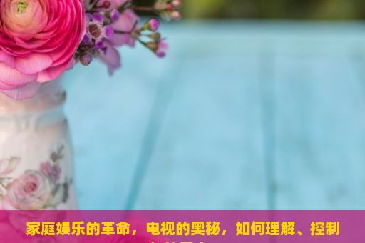 家庭娱乐的革命，电视的奥秘，如何理解、控制与使用它？