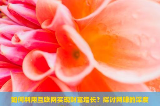 如何利用互联网实现财富增长？探讨网赚的深度解析与未来趋势