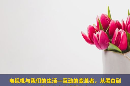 电视机与我们的生活—互动的变革者，从黑白到彩色的家庭娱乐革命