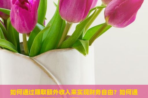 如何通过赚取额外收入来实现财务自由？如何通过智慧和努力赚取人生的财富？