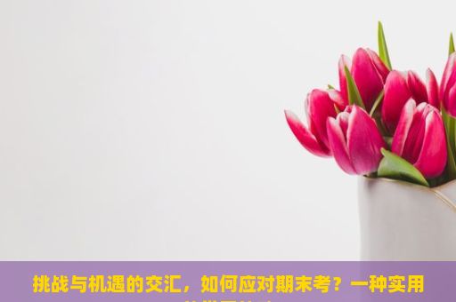 挑战与机遇的交汇，如何应对期末考？一种实用的学习策略