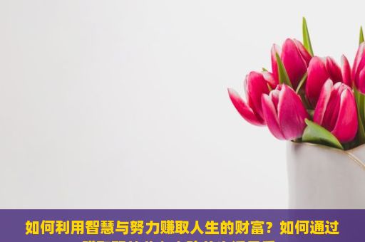 如何利用智慧与努力赚取人生的财富？如何通过赚取额外收入来改善生活品质？