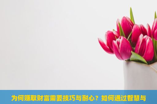 为何赚取财富需要技巧与耐心？如何通过智慧与努力赚取人生的财富？