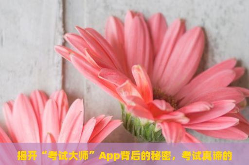 揭开“考试大师”App背后的秘密，考试真谛的解析与提升策略