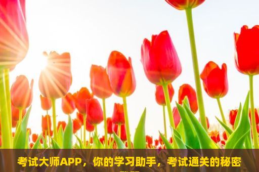 考试大师APP，你的学习助手，考试通关的秘密武器