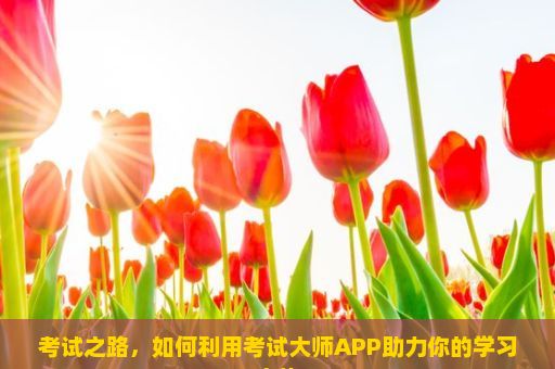 考试之路，如何利用考试大师APP助力你的学习之旅