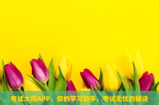 考试大师APP，你的学习助手，考试无忧的秘诀