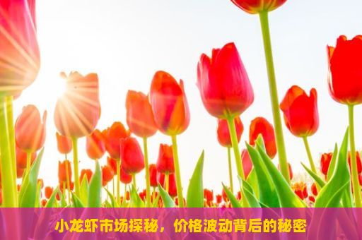 小龙虾市场探秘，价格波动背后的秘密