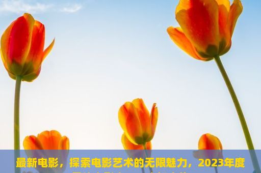 最新电影，探索电影艺术的无限魅力，2023年度最佳电影之——未知之旅