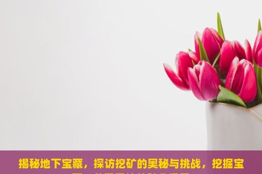 揭秘地下宝藏，探访挖矿的奥秘与挑战，挖掘宝藏，从零开始的矿业探索