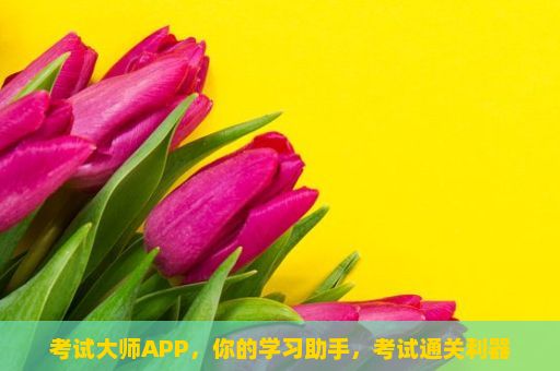 考试大师APP，你的学习助手，考试通关利器