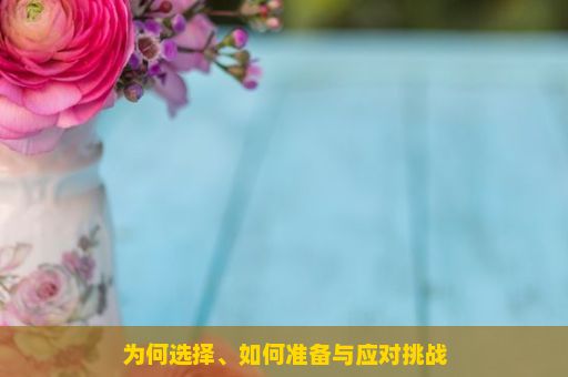 为何选择、如何准备与应对挑战