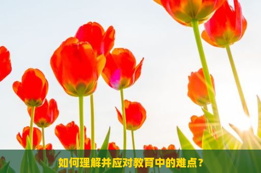 如何理解并应对教育中的难点？