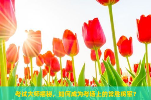 考试大师揭秘，如何成为考场上的常胜将军？