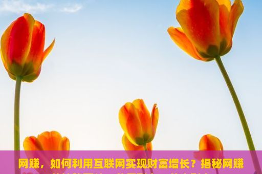 网赚，如何利用互联网实现财富增长？揭秘网赚的神秘面纱，从无到有、从少到多