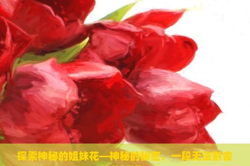 探索神秘的姐妹花—神秘的秘密，一段无法割舍的情缘