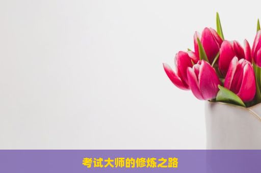 考试大师的修炼之路