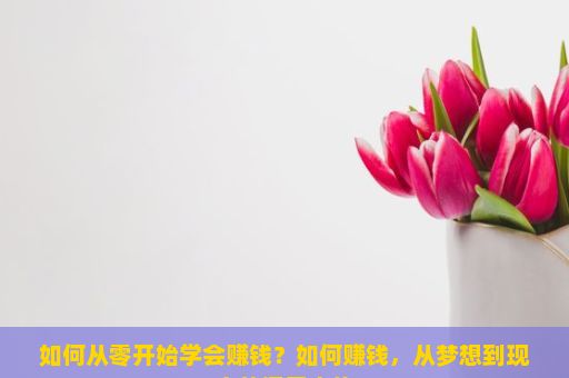 如何从零开始学会赚钱？如何赚钱，从梦想到现实的探索之旅