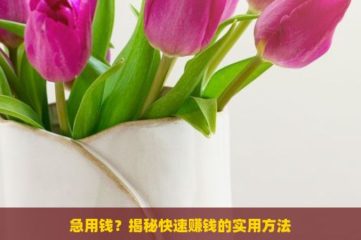 急用钱？揭秘快速赚钱的实用方法