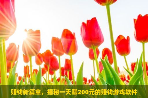 赚钱新篇章，揭秘一天赚200元的赚钱游戏软件