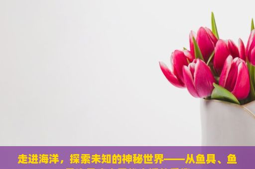 走进海洋，探索未知的神秘世界——从鱼具、鱼具渔具店中寻找生活的乐趣