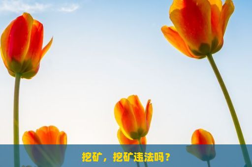 挖矿，挖矿违法吗？