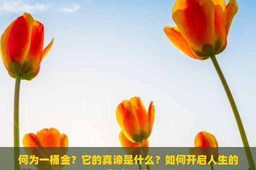 何为一桶金？它的真谛是什么？如何开启人生的财富之旅