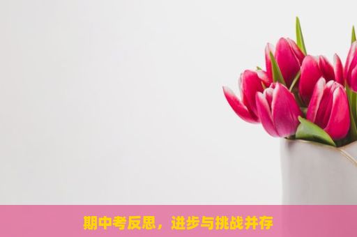 期中考反思，进步与挑战并存