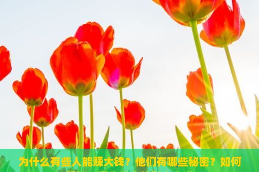 为什么有些人能赚大钱？他们有哪些秘密？如何赚钱，现代社会的财富之道