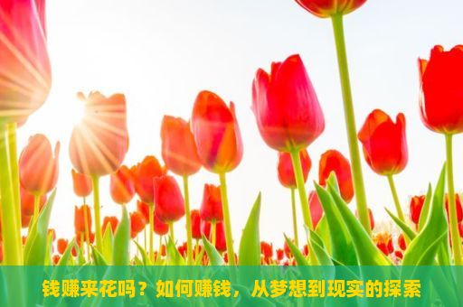 钱赚来花吗？如何赚钱，从梦想到现实的探索