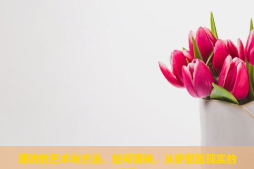 赚钱的艺术与方法，如何赚钱，从梦想到现实的探索