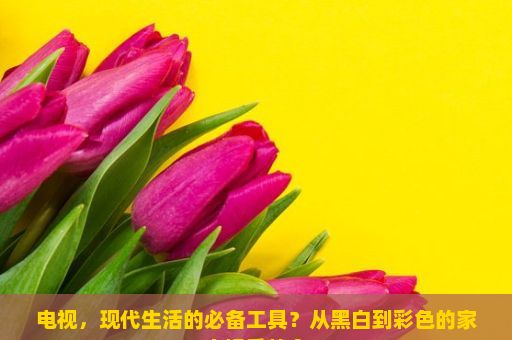 电视，现代生活的必备工具？从黑白到彩色的家庭娱乐革命