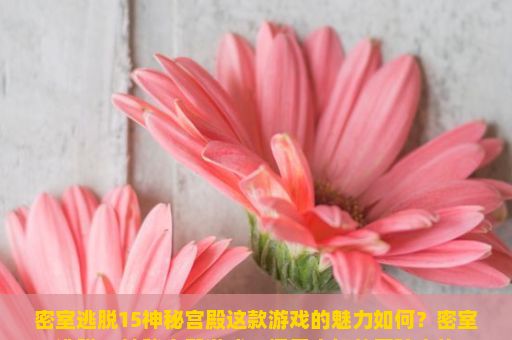 密室逃脱15神秘宫殿这款游戏的魅力如何？密室逃脱15神秘宫殿游戏，探索未知的冒险之旅