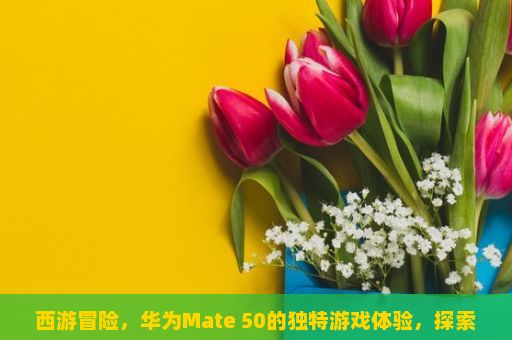 西游冒险，华为Mate 50的独特游戏体验，探索神秘的西游冒险世界，西游冒险(安装赢HUAWEI Mate 50)带你一窥神奇的世界