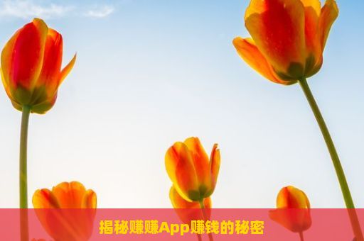 揭秘赚赚App赚钱的秘密